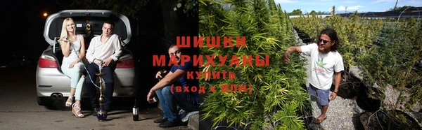 крисы Беломорск