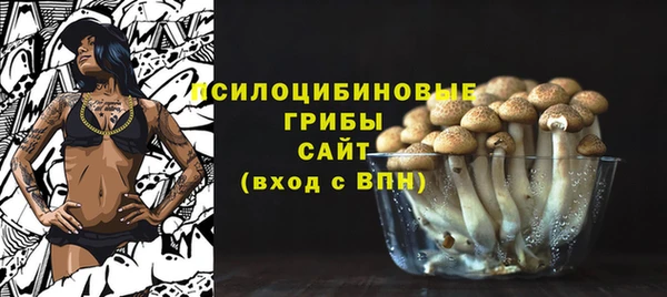 хмурый Балабаново