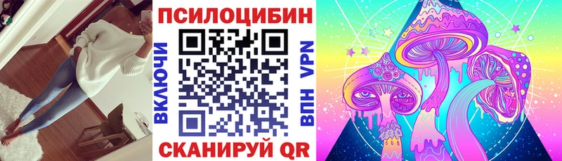 Псилоцибиновые грибы MAGIC MUSHROOMS  МЕГА вход  Вичуга  цены  
